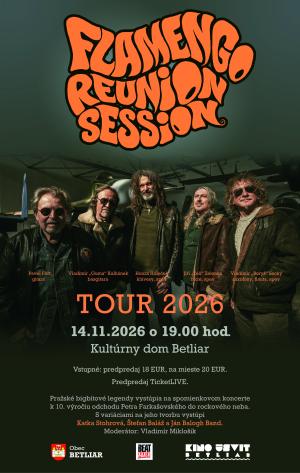 hudobná skupina na pódiu počas koncertu